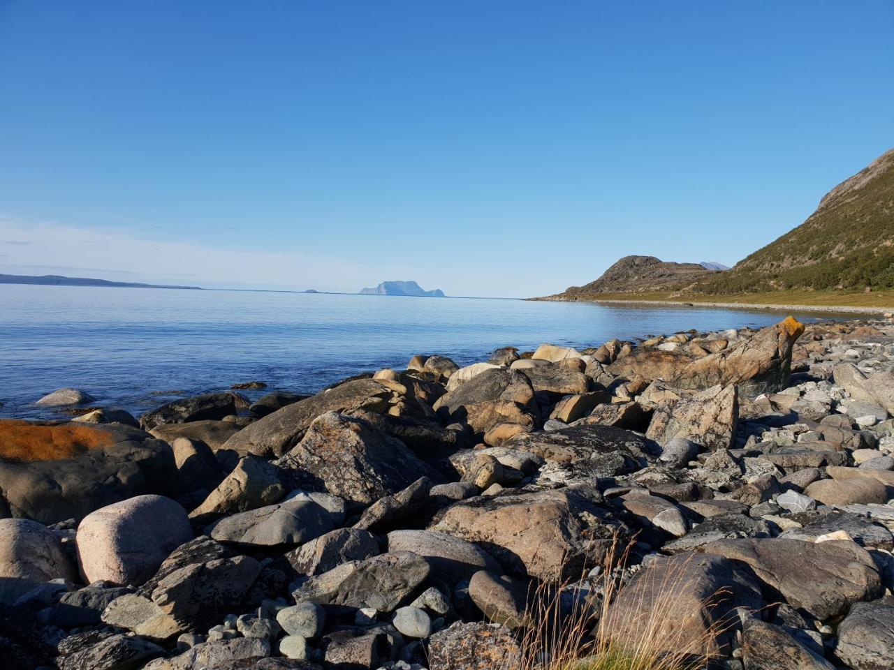 Villa Lyngen Fjordcamp Nord-Lenangen Exterior foto